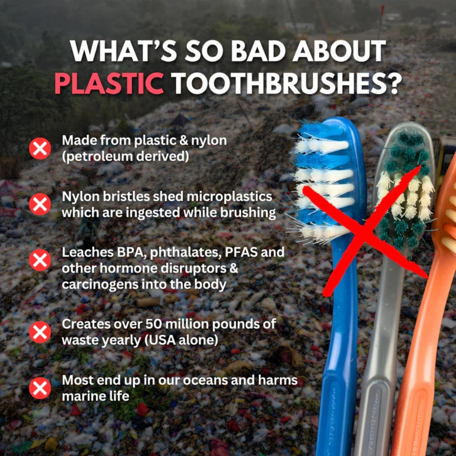 Premium 100% Plastic-Free Natural Bristle & Bamboo Toothbrush