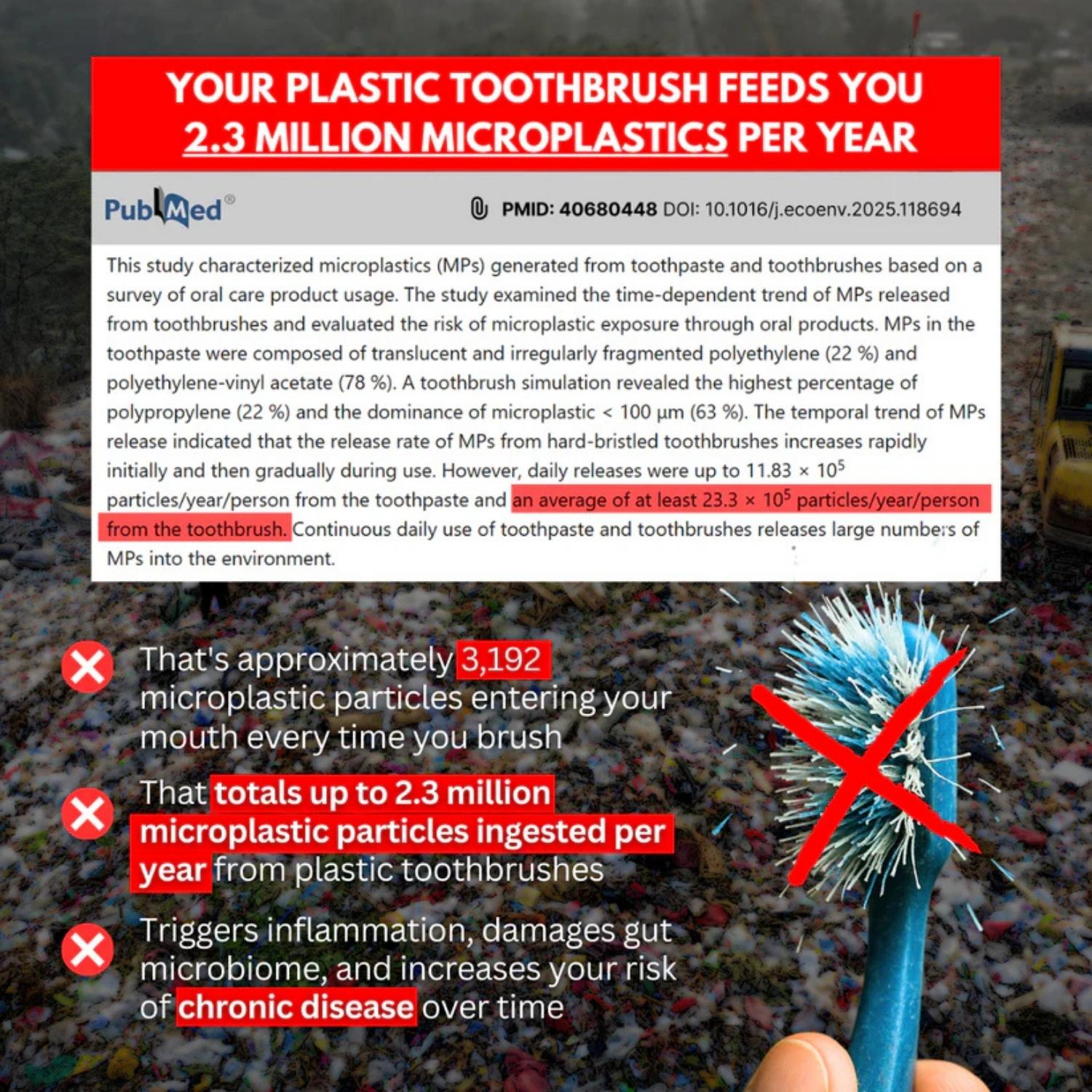 Premium 100% Plastic-Free Natural Bristle & Bamboo Toothbrush
